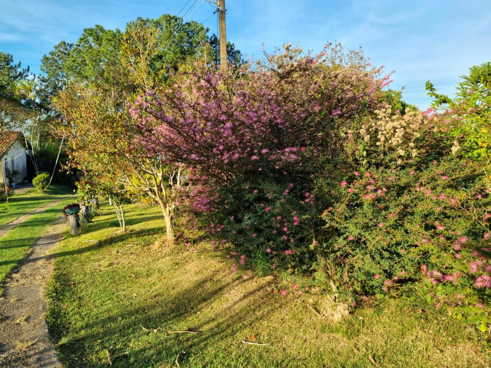 Chacara Aquila Villa São Roque Exteriör bild